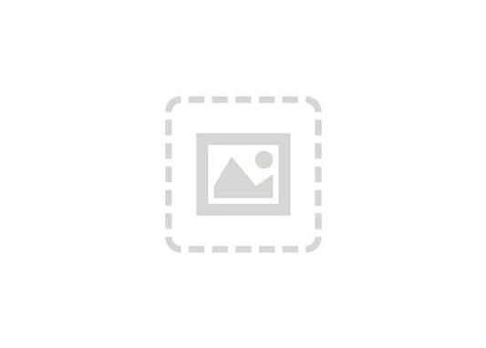 Cisco Meraki MR Series Advanced - subscription license (1 year) + 1 Year Advanced Support - 1 license